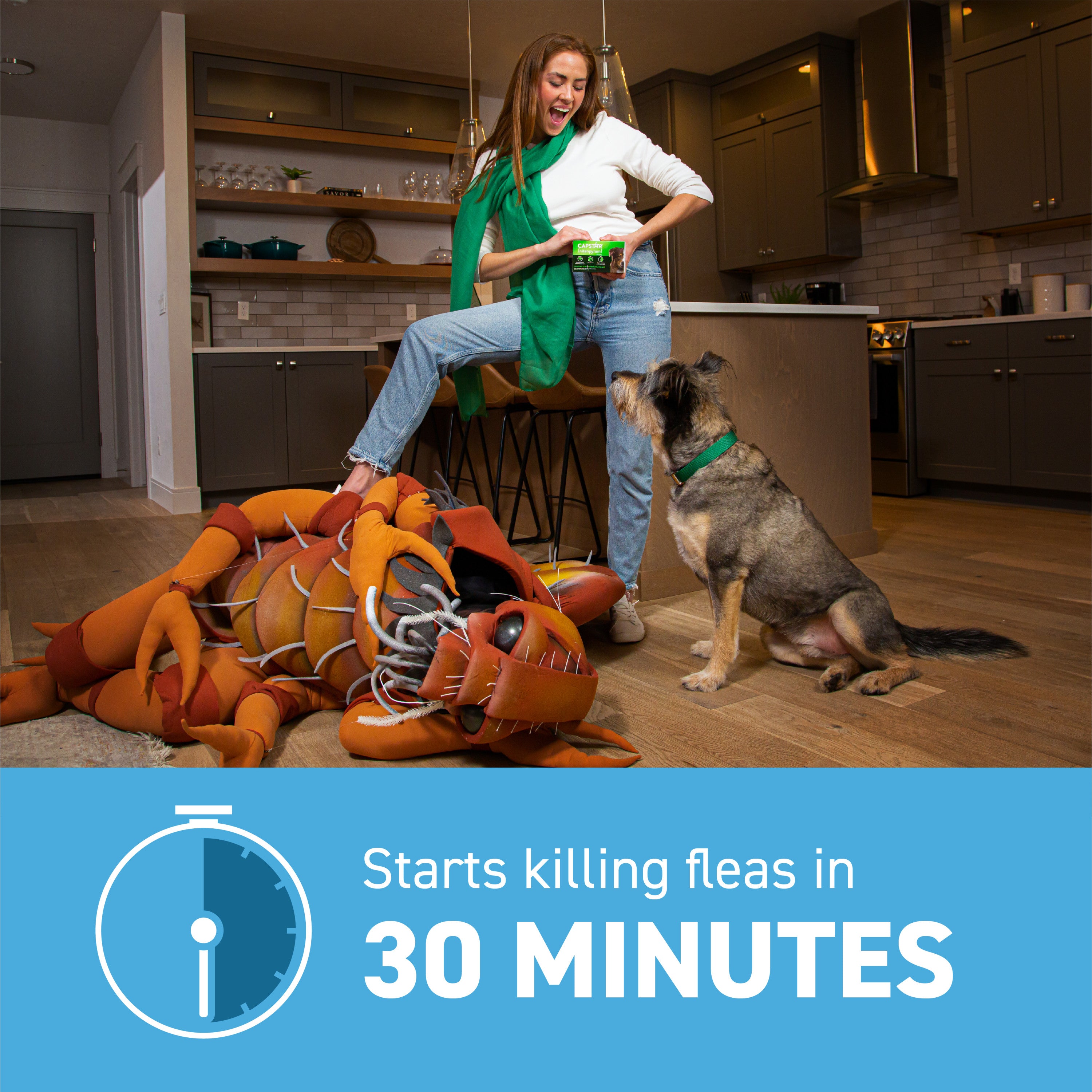 CAPSTAR® (nitenpyram) Oral Flea Treatment for Dogs