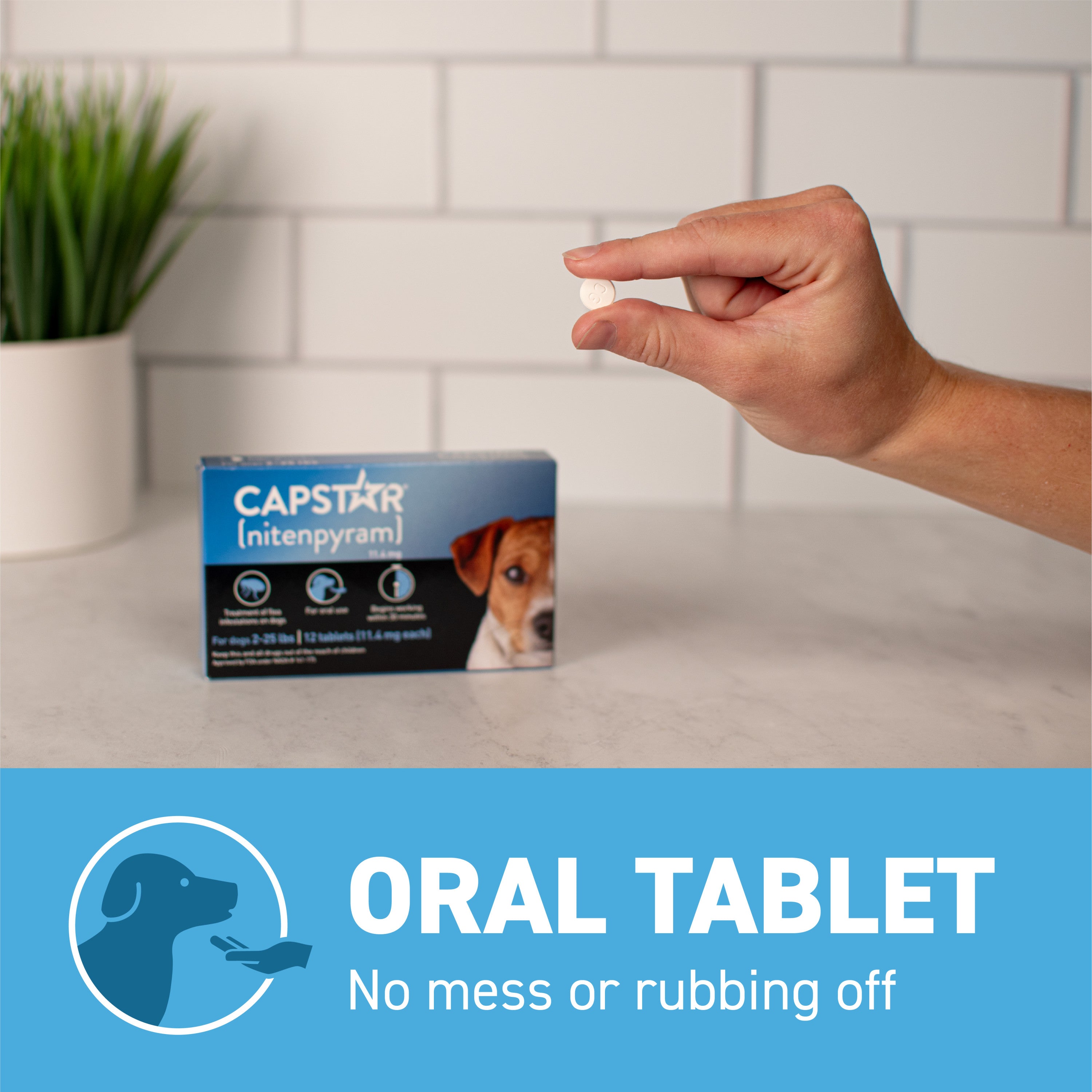 CAPSTAR® (nitenpyram) Oral Flea Treatment for Dogs