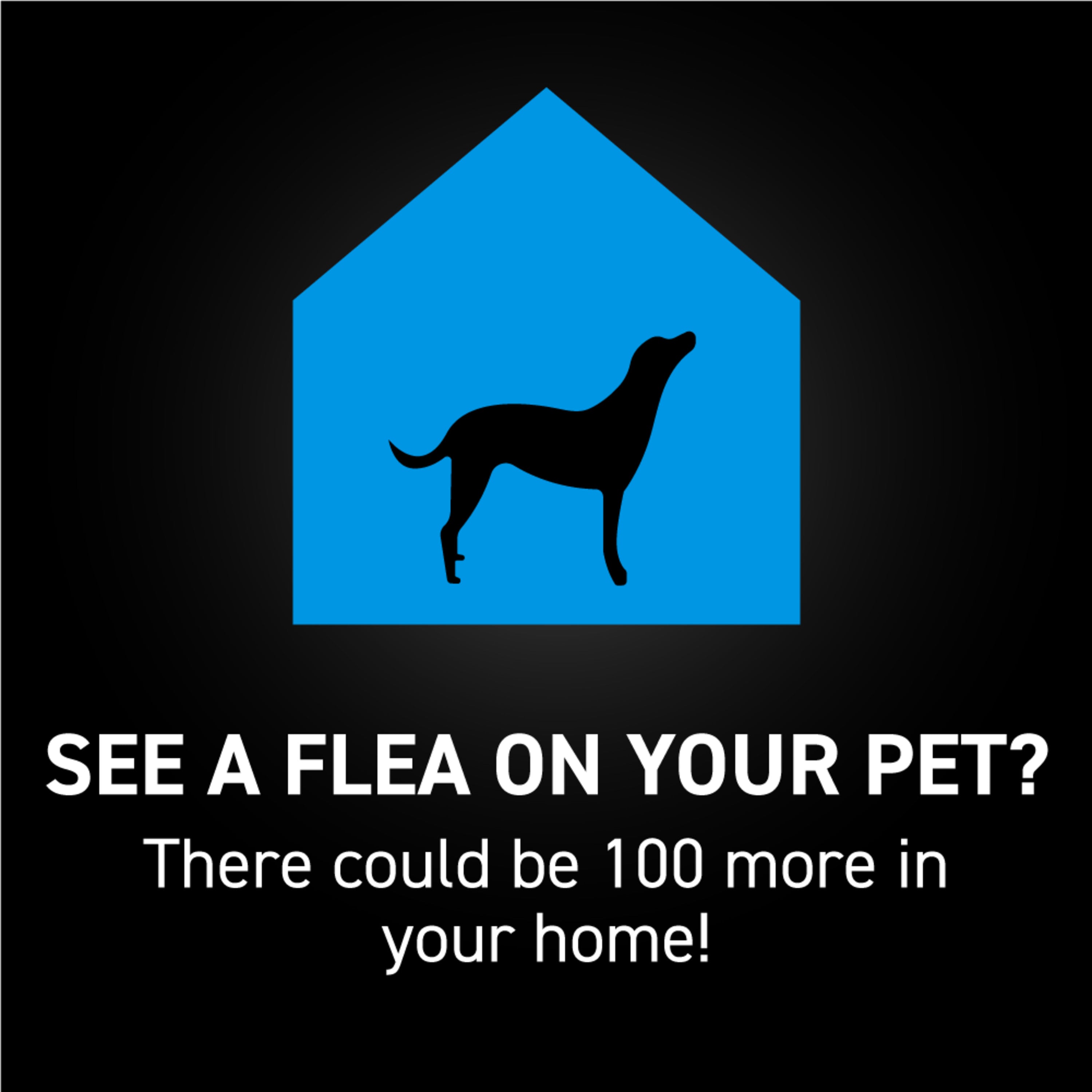 NEXTSTAR® Flea & Tick Topical for Dogs - 3 Months