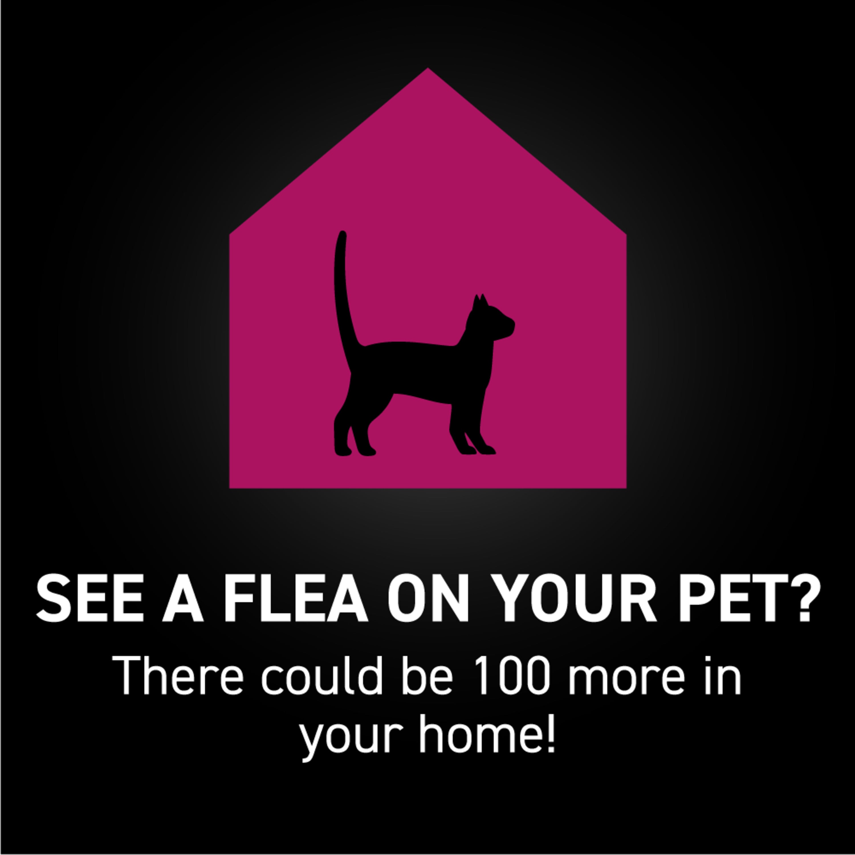 NEXTSTAR® Flea & Tick Topical for Cats - 3 Months
