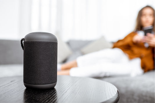 Hey Alexa, How Do I Get Rid Of Fleas?